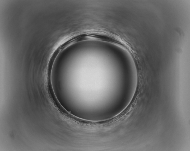 X0000112890008200908211504