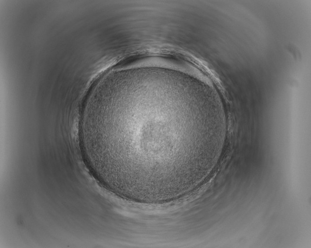X0000112890010200908211504