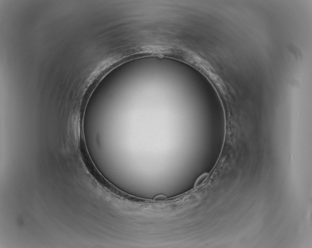 X0000112890011200908211504
