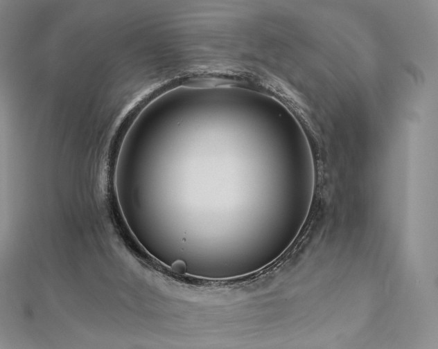X0000112890012200908211504