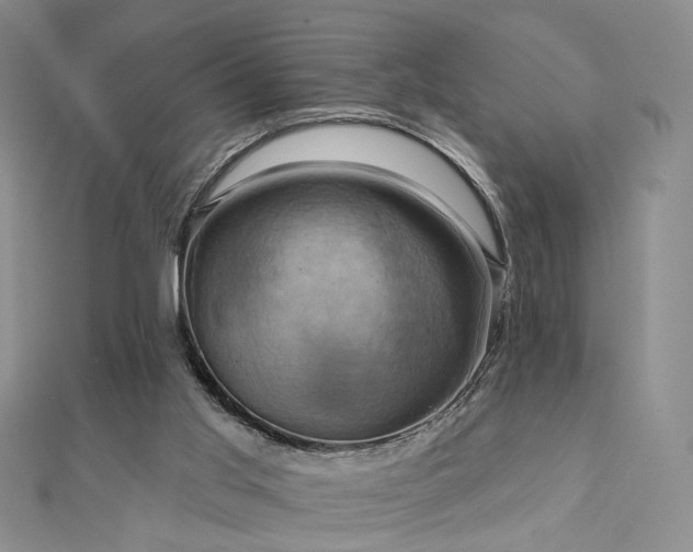 X0000112890013200908211504