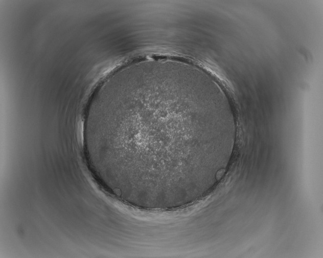 X0000112890014200908211504