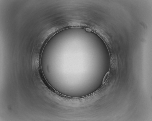 X0000112890015200908211504