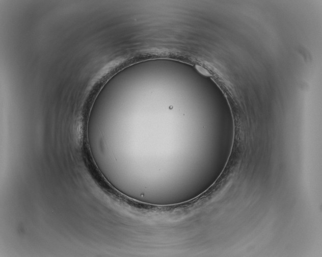 X0000112890016200908211504