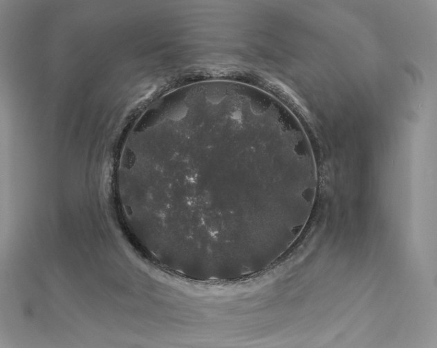 X0000112890018200908211504