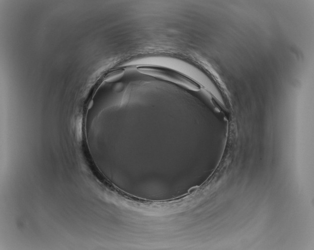 X0000112890019200908211504