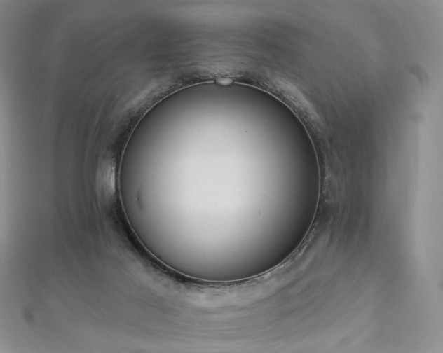 X0000112890021200908211504