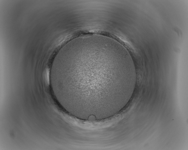 X0000112890022200908211504