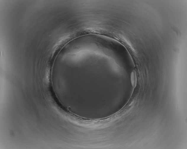 X0000112890023200908211503