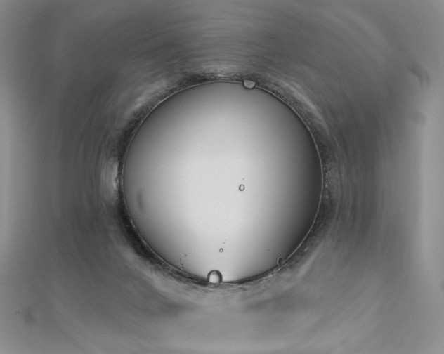 X0000112890024200908211503
