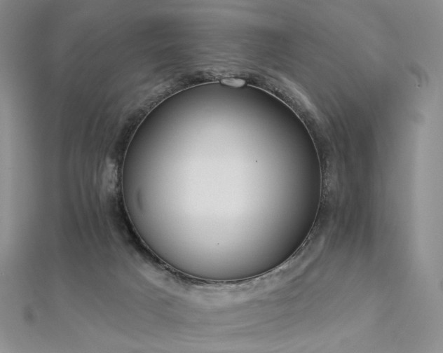 X0000112890025200908211503