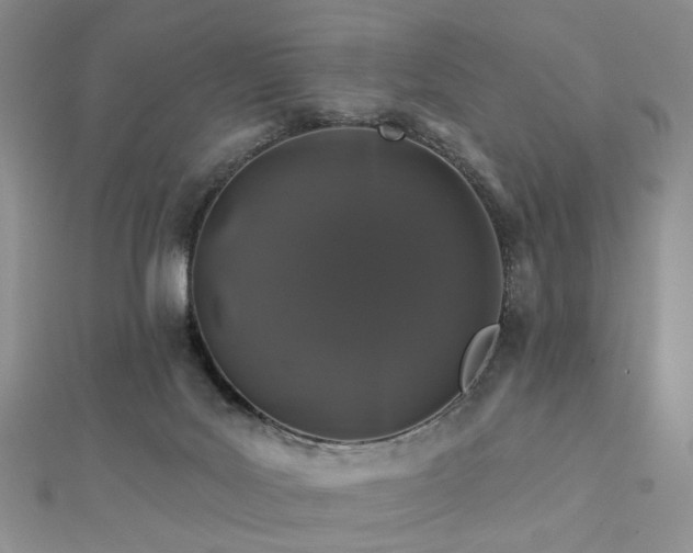 X0000112890027200908211503