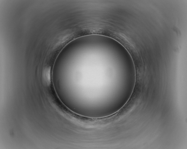 X0000112890028200908211503