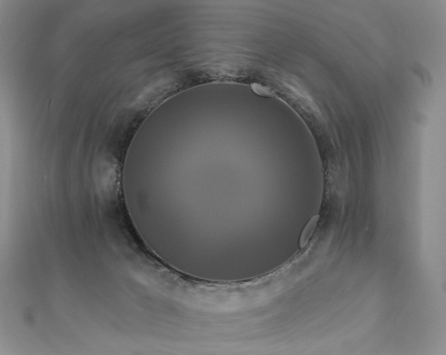 X0000112890029200908211503