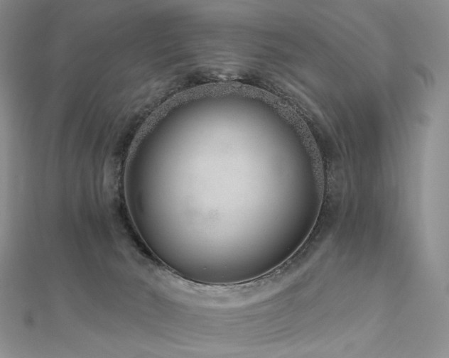 X0000112890030200908211503