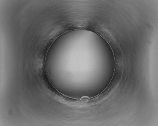 X0000112890032200908211503