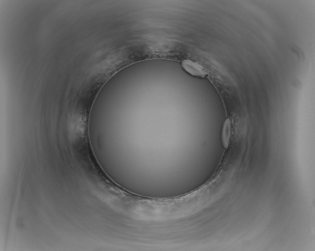 X0000112890033200908211503