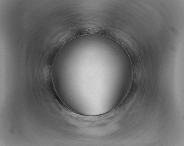 X0000112890034200908211503