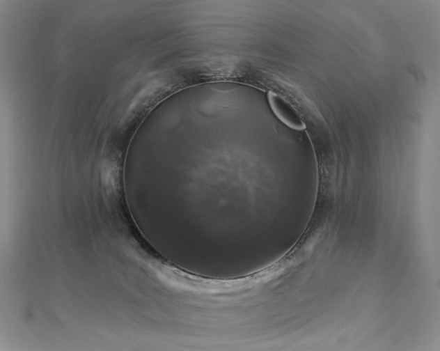 X0000112890035200908211503