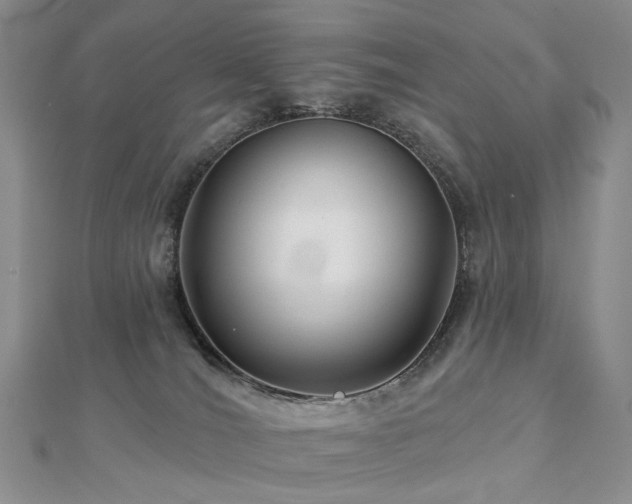 X0000112890036200908211503