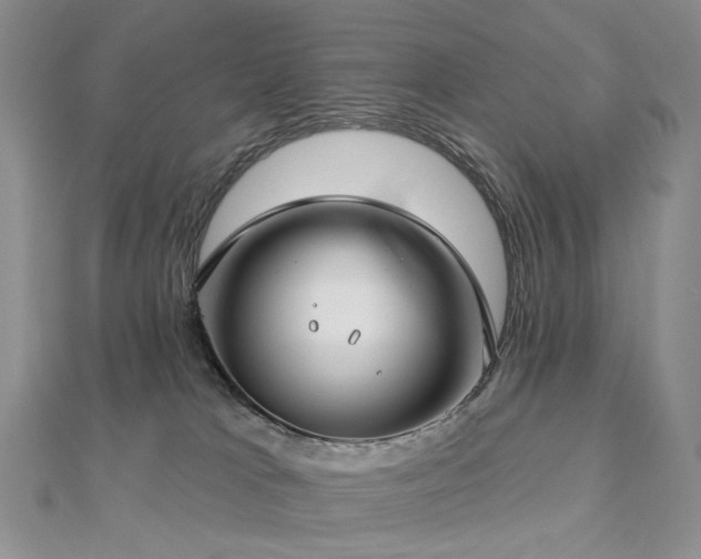 X0000112890037200908211503