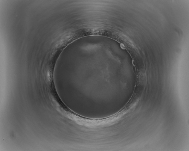 X0000112890039200908211503