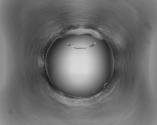 X0000112890040200908211503