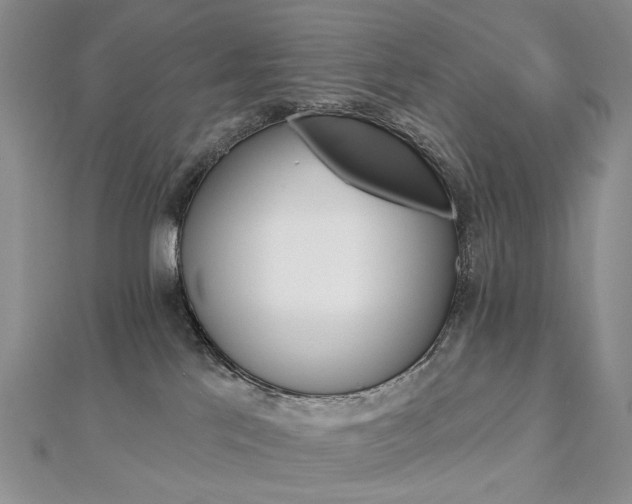 X0000112890041200908211503