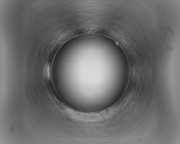 X0000112890042200908211503