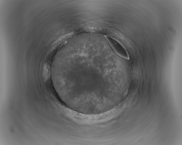 X0000112890043200908211503