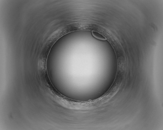 X0000112890044200908211503