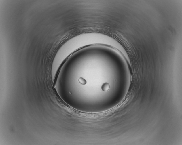 X0000112890045200908211503