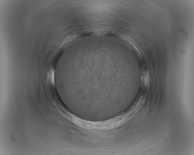 X0000112890046200908211503