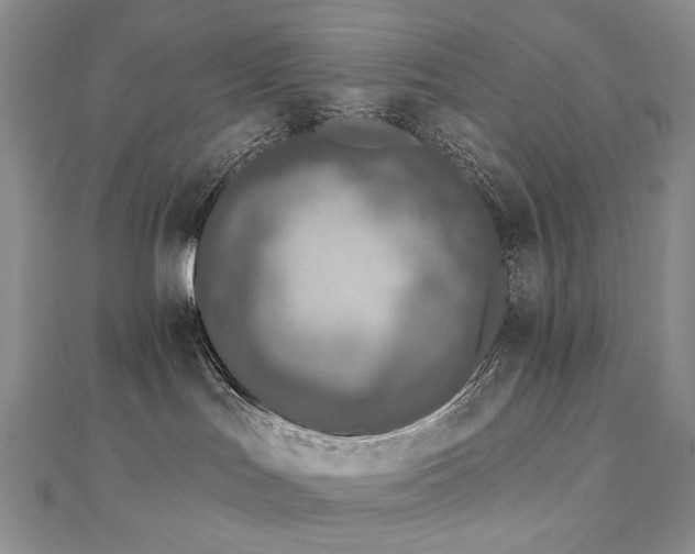 X0000112890047200908211503