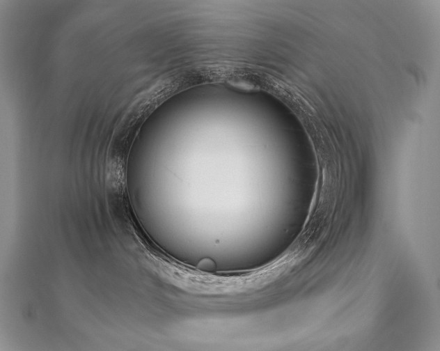 X0000112890048200908211503