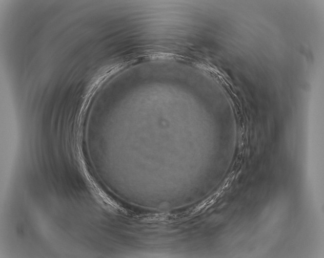 X0000112890049200908211503