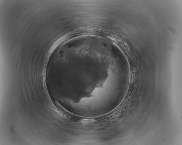 X0000112890051200908211503