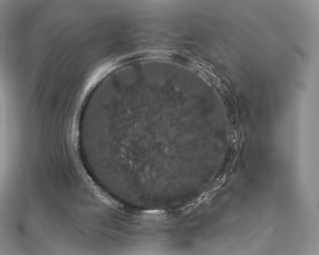 X0000112890053200908211503