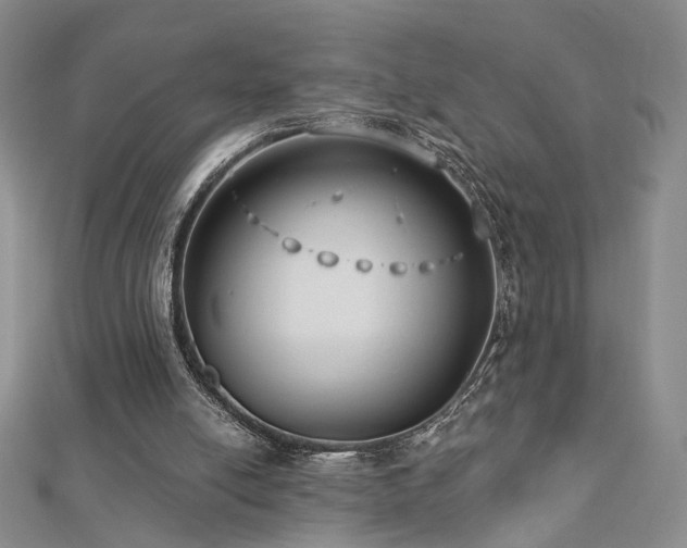 X0000112890054200908211503