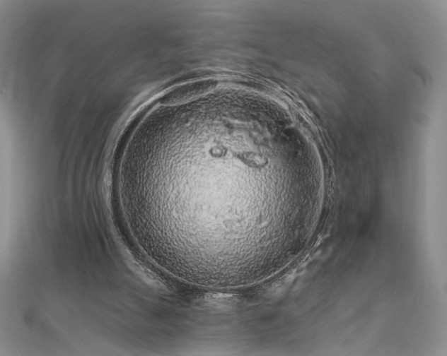 X0000112890055200908211503