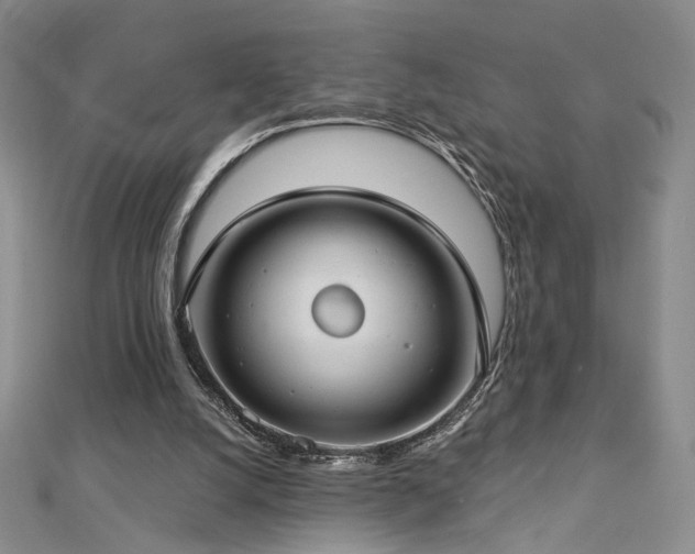 X0000112890056200908211503