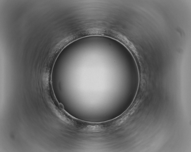 X0000112890057200908211503