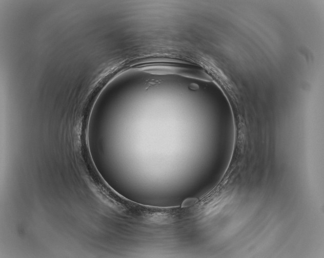 X0000112890058200908211503