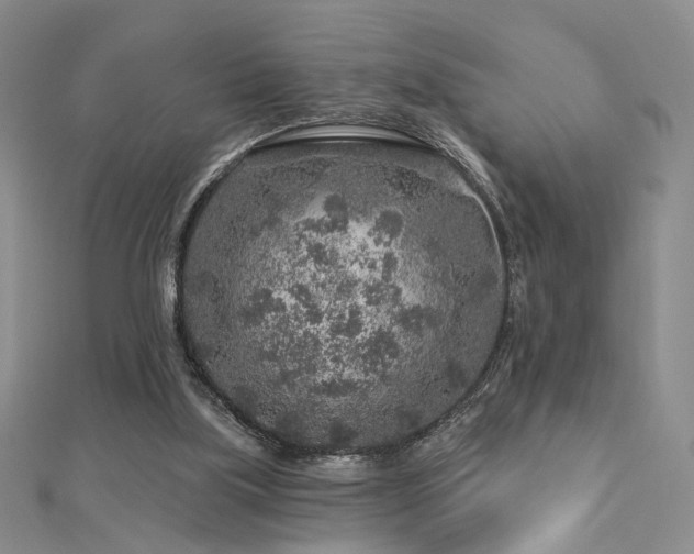 X0000112890059200908211503