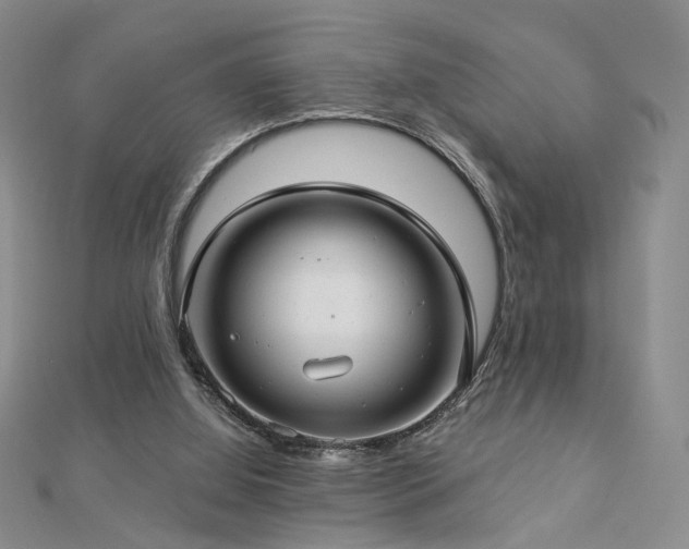 X0000112890060200908211503