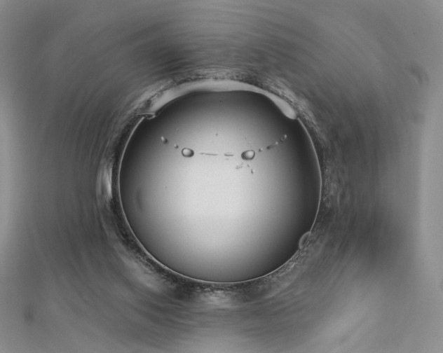 X0000112890062200908211503