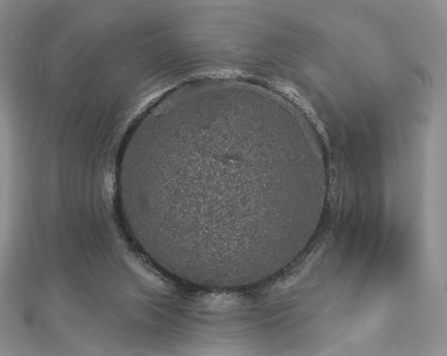 X0000112890063200908211503