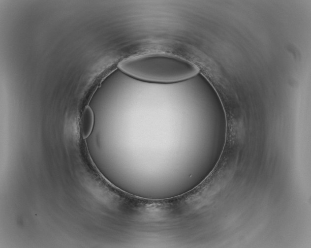 X0000112890064200908211503