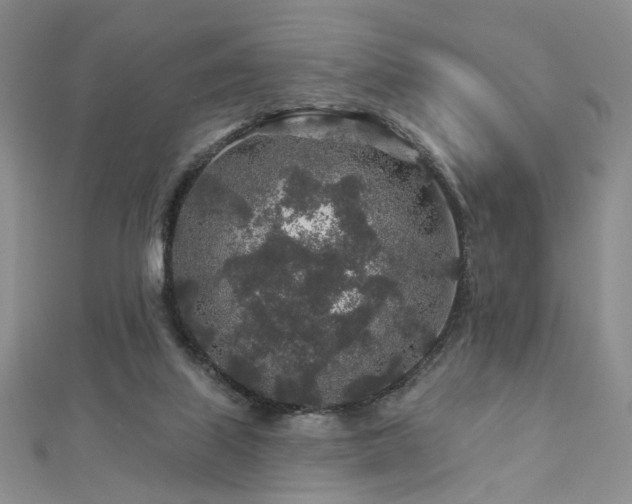 X0000112890067200908211503
