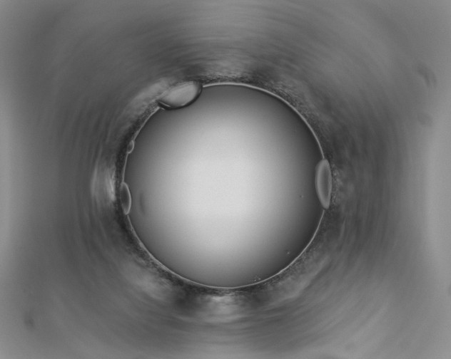 X0000112890068200908211503